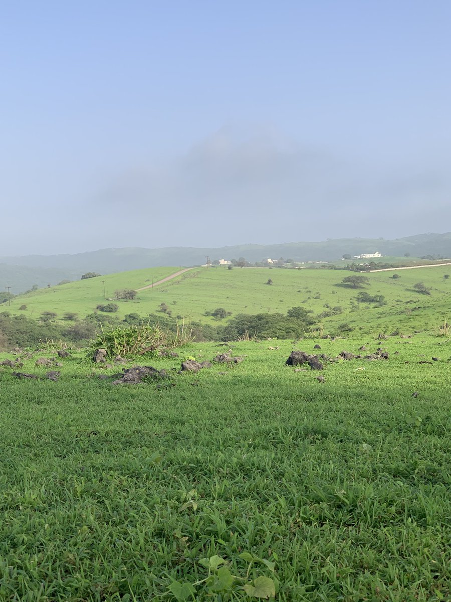 هاجر tweet media