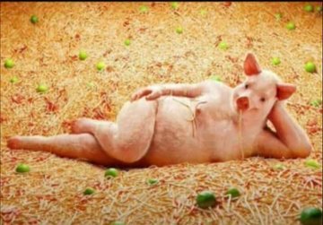 Who's awake and why????