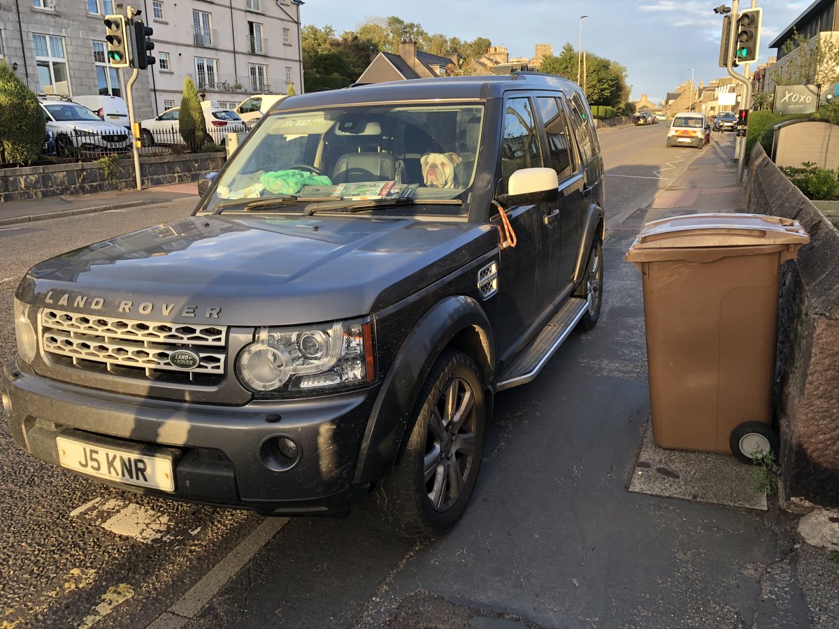 Daniel✌ɘrhɐmmɞ🌻 tweet media