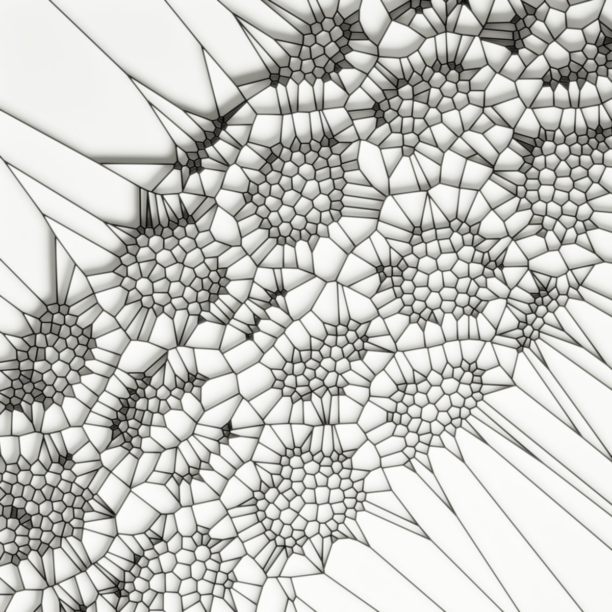 #generativeart #movingon #variations