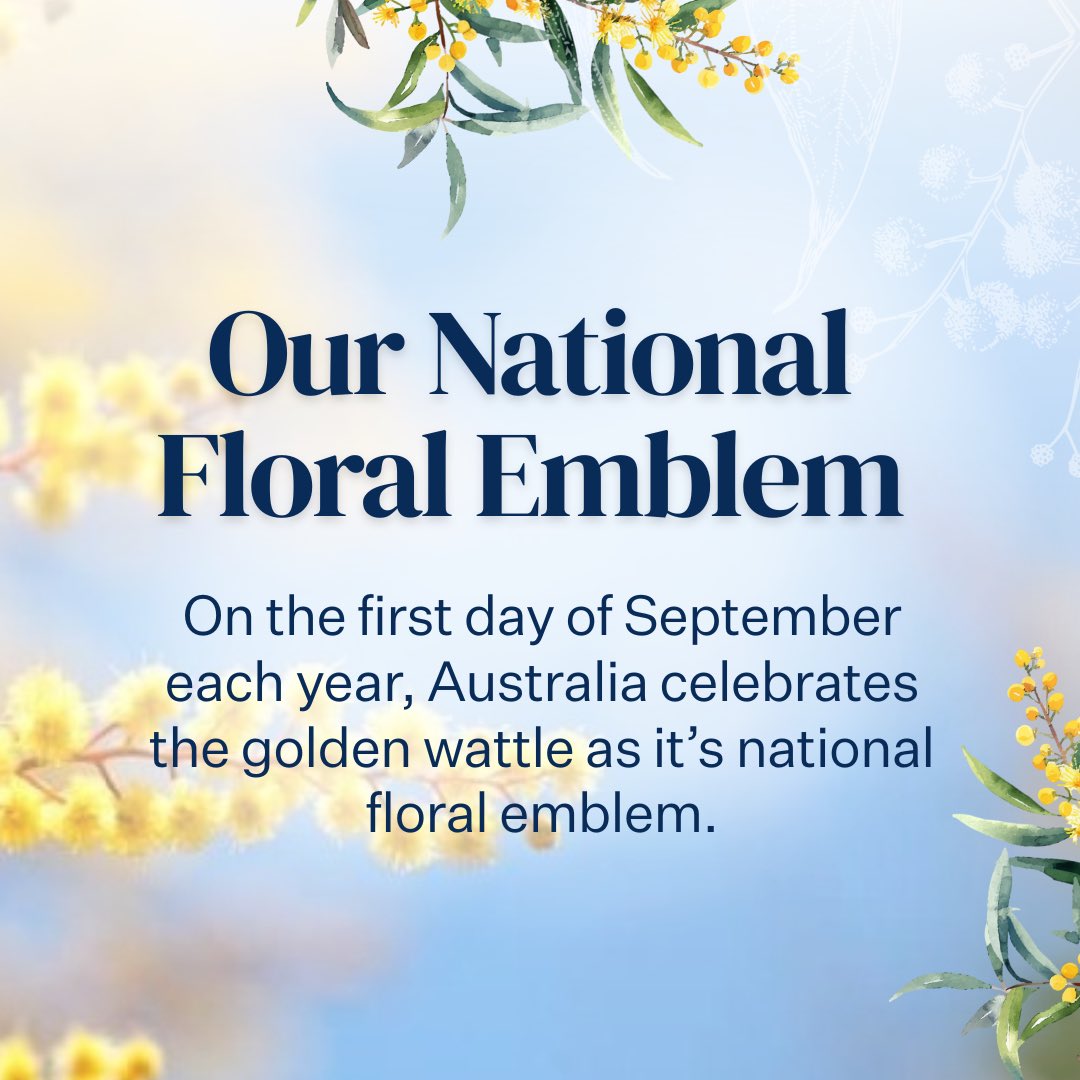 It’s National Wattle Day.

Our national floral emblem and the inspiration for Australia’s iconic green and gold colours. 

A true symbol of unity for our nation.

September 1 also means spring has officially arrived! 🌼
