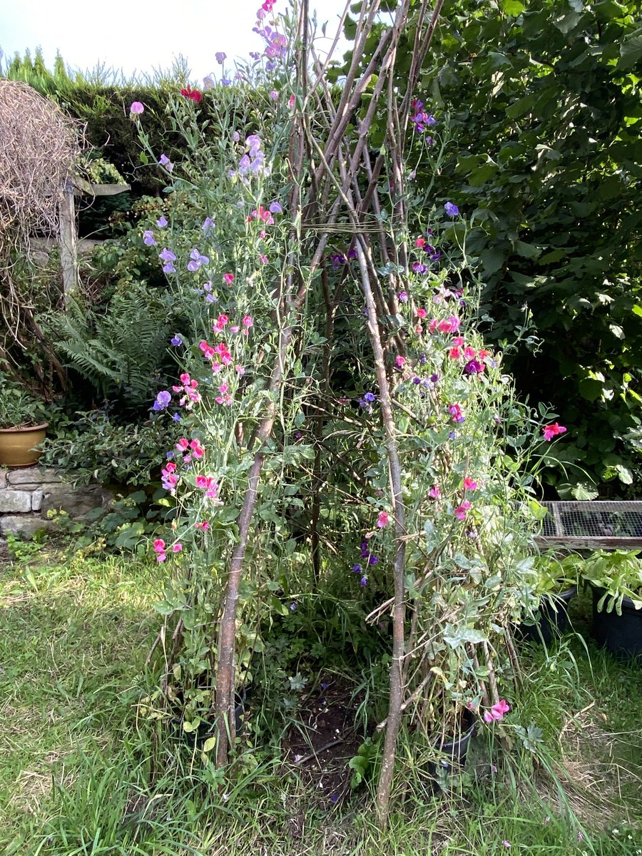 Sarah Parkin tweet media