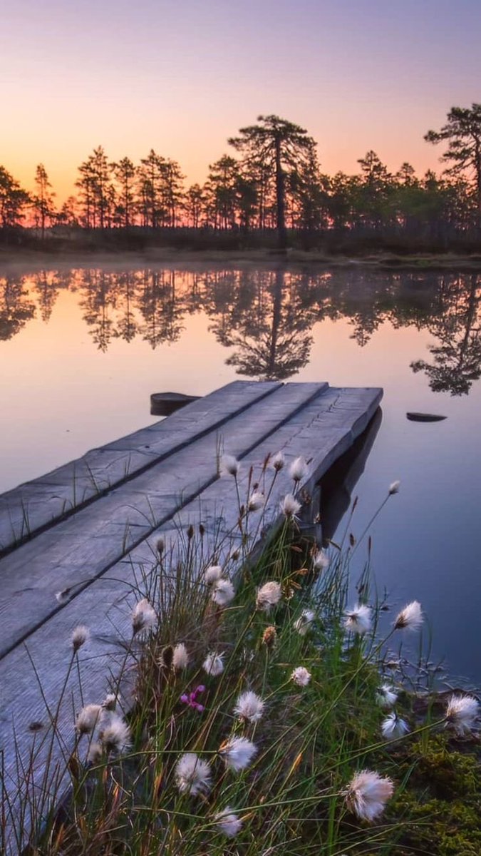 Izabela-Elizabeth (@izabelazapp) on Twitter photo 