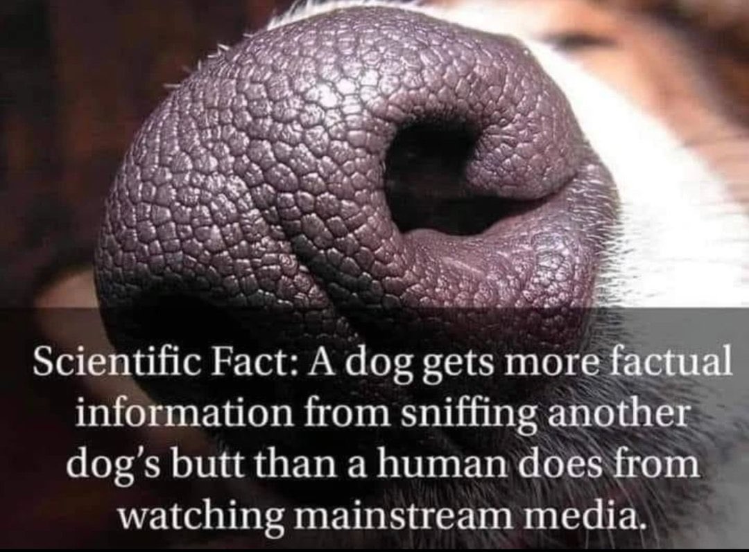 Real_JaredMarsh's tweet image. 🤣