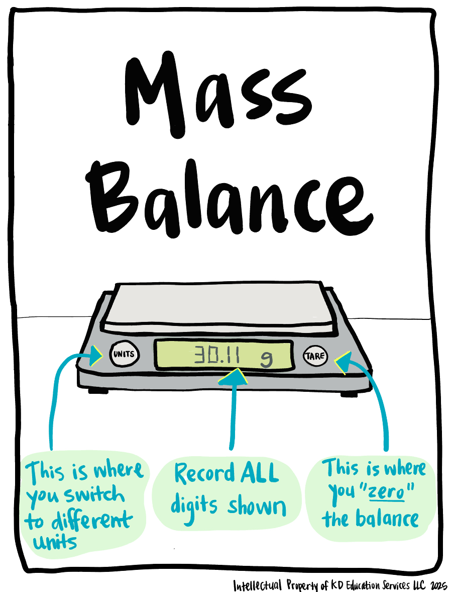 Katy Dornbos  🤸🏽‍♀️ tweet media
