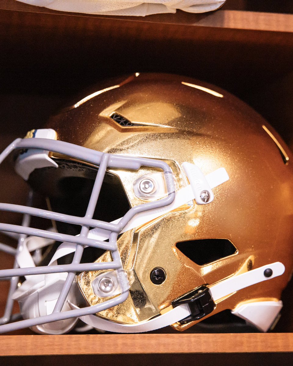 Golden is thy fame ☘️

#GoIrish☘️