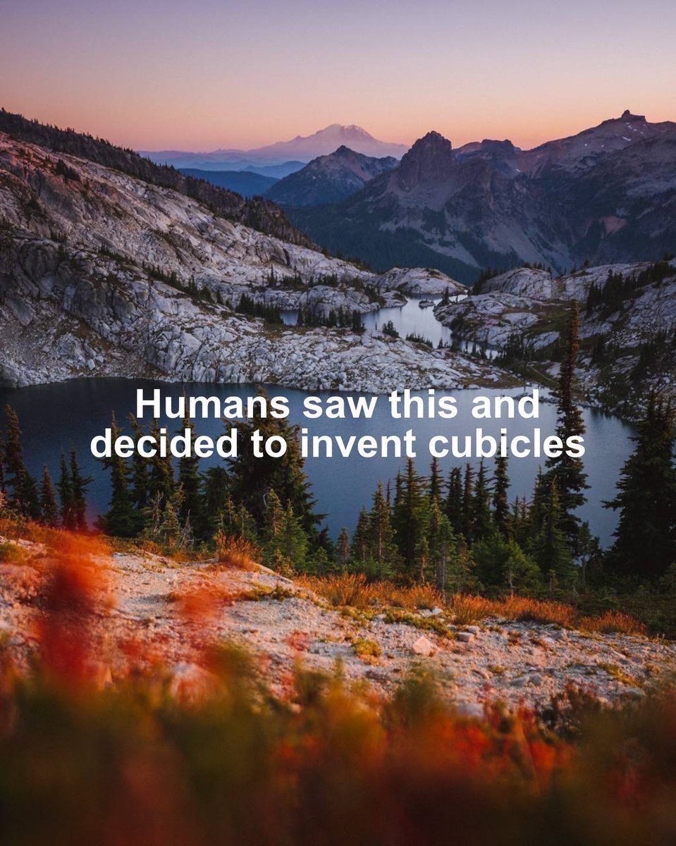 neet_sol's tweet image. 