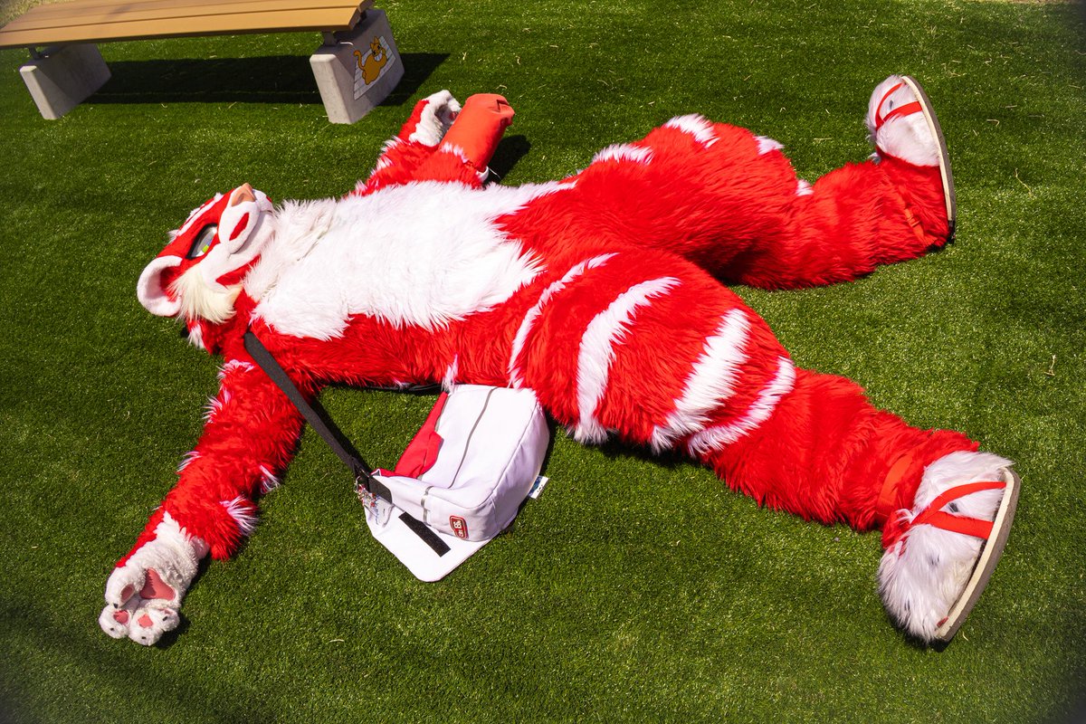 燈@けもケ (@akari_far) / X