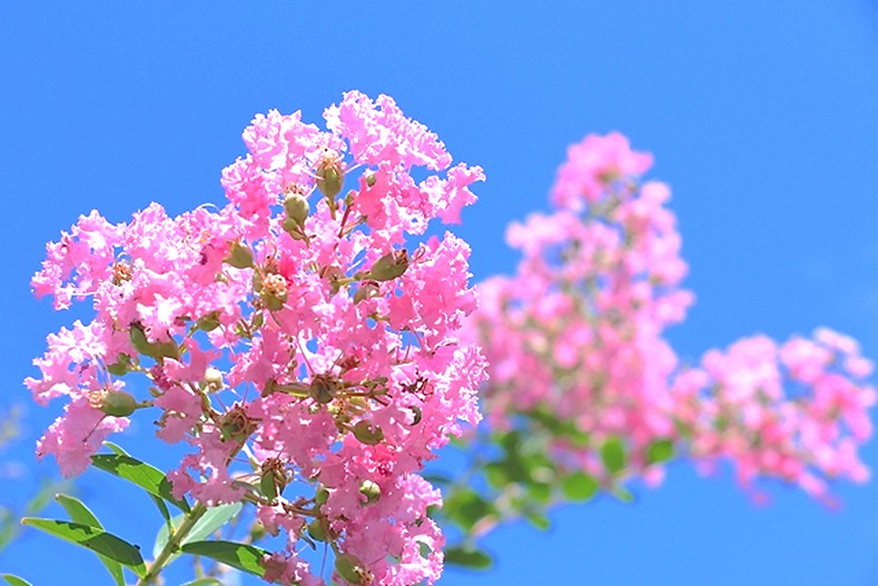 おはようございます。
今朝は「特選 柳」に癒されました！

🍃スーっと爽やかな甘味が、心地よく沁みわたります😊こりゃ～美味しい～🥰朝の目覚めにも最高の１杯✨

冷茶で心身ととのい、今日も元気にスタートです🎵

「新潟｜うずまき屋さん」
【本日の１杯】今日もありがとう。