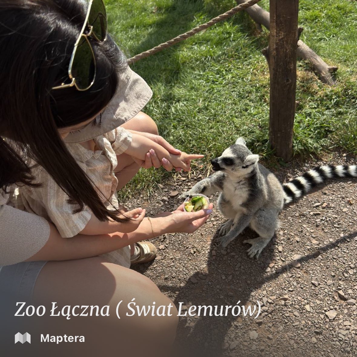 Maptera reached 1500 pins! ❤️

What an unforgettable day! Today, my family and I went to a small ZOO, which is worth remembering and recommending. 🥰

Here is a deep link to Maptera 🔗

maptera.io/pin/3d103cfb-6…