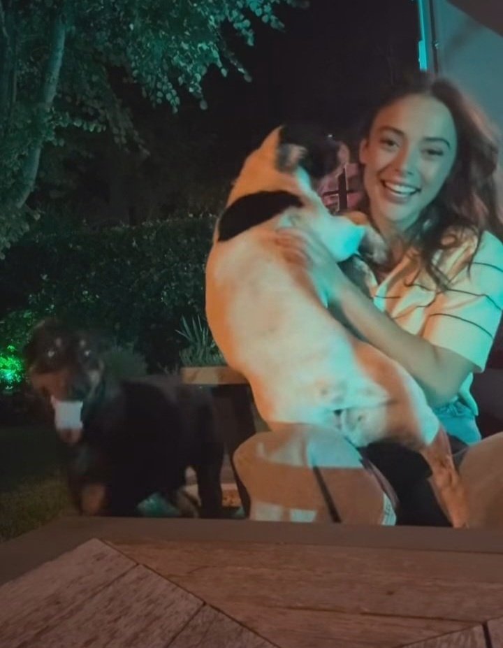 Gutsy'nin annesi bağlılığı ve benim onlara bağımlılığım🫠💓

#RabiaSoytürk