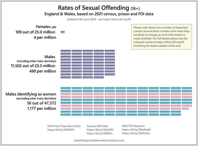 Persistent Feminist tweet media