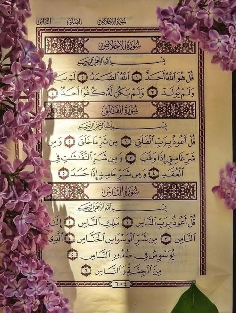 لوبيـاا'👑💅🫰 tweet media
