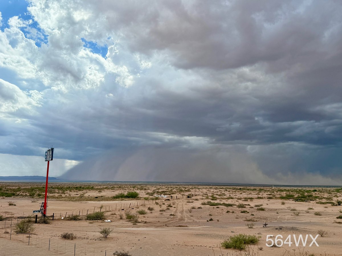564 WX tweet media