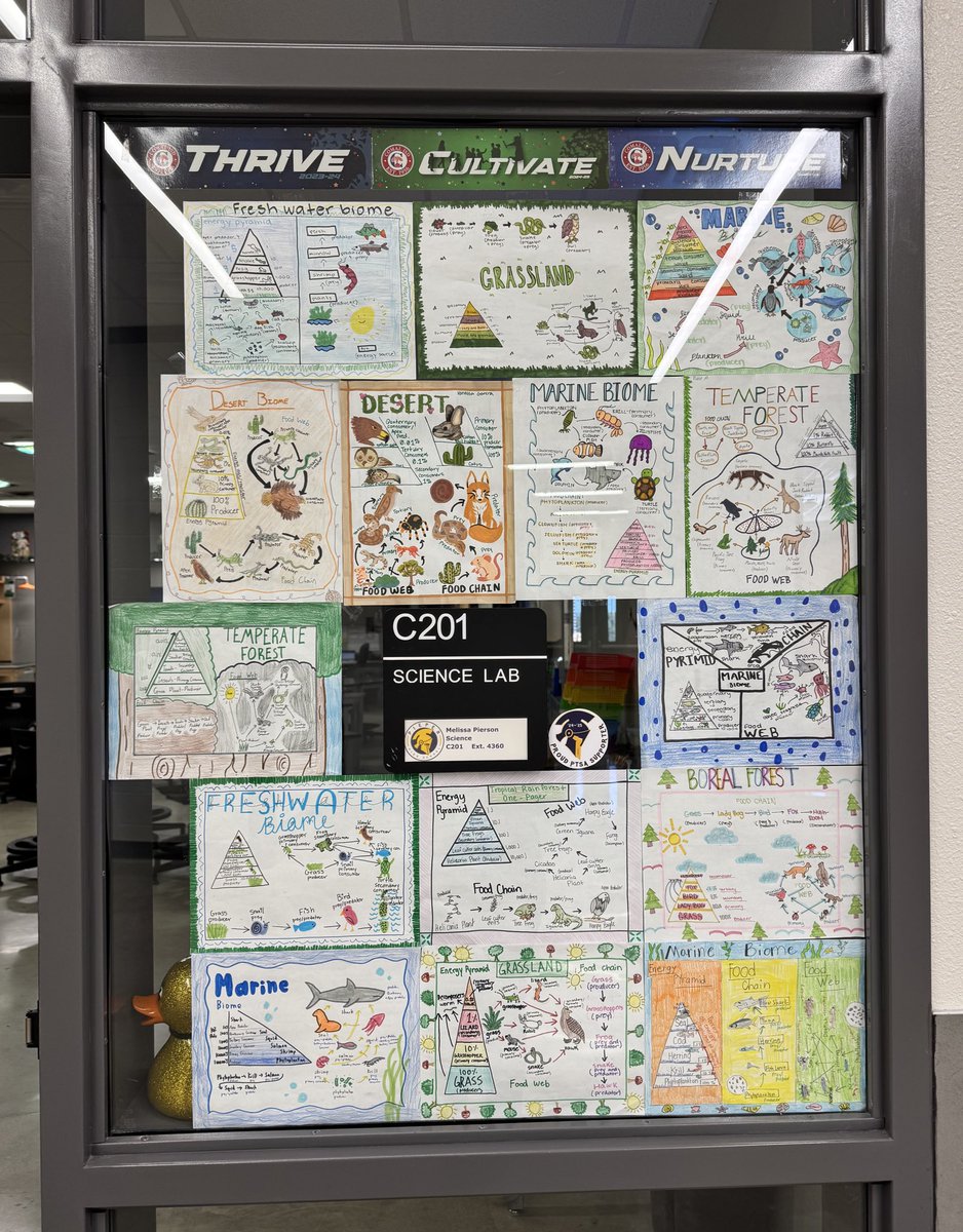🌍 My AP Environmental Science students created amazing one-pagers on energy in ecosystems! From food chains &amp; food webs to energy pyramids, they showcased the flow of energy through their chosen biomes. Proud of their creativity &amp; understanding! #APES