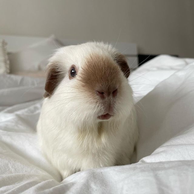 <a href="/IMSOTHAGE/">iHateThage</a> !!!