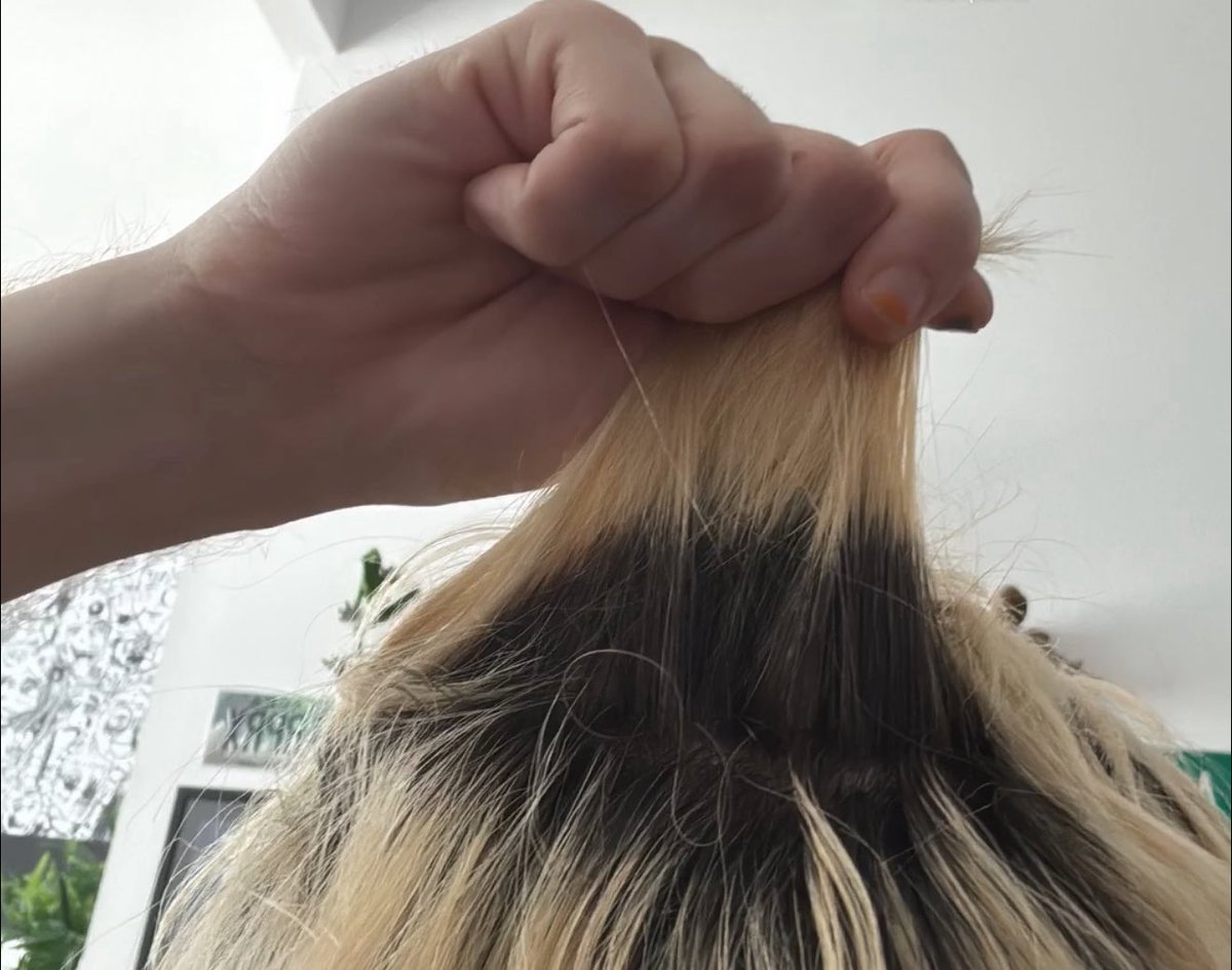 God if you can hear me those roots will be bleached and pink by secret show 1