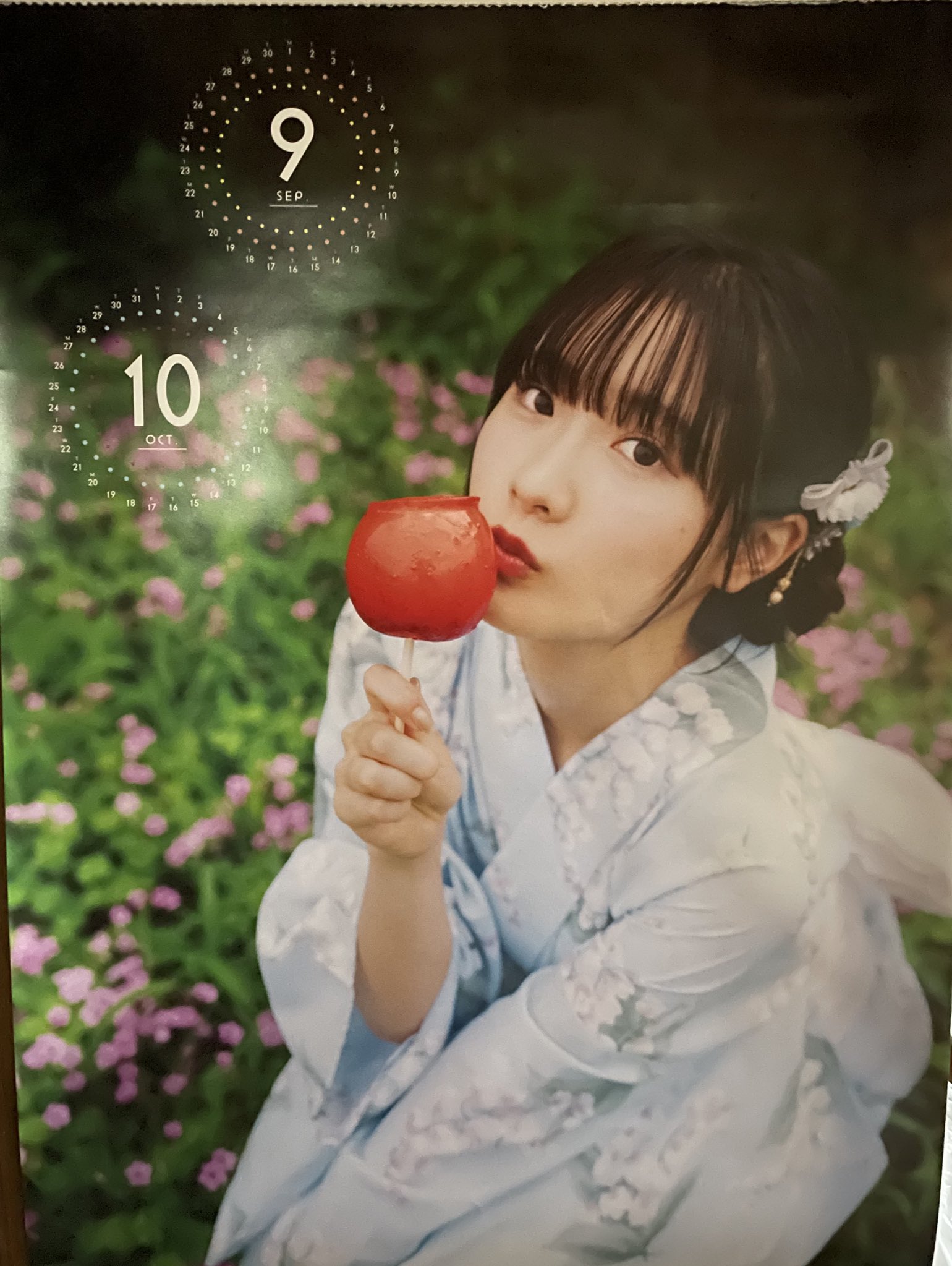 桜花(カワ) on X: 