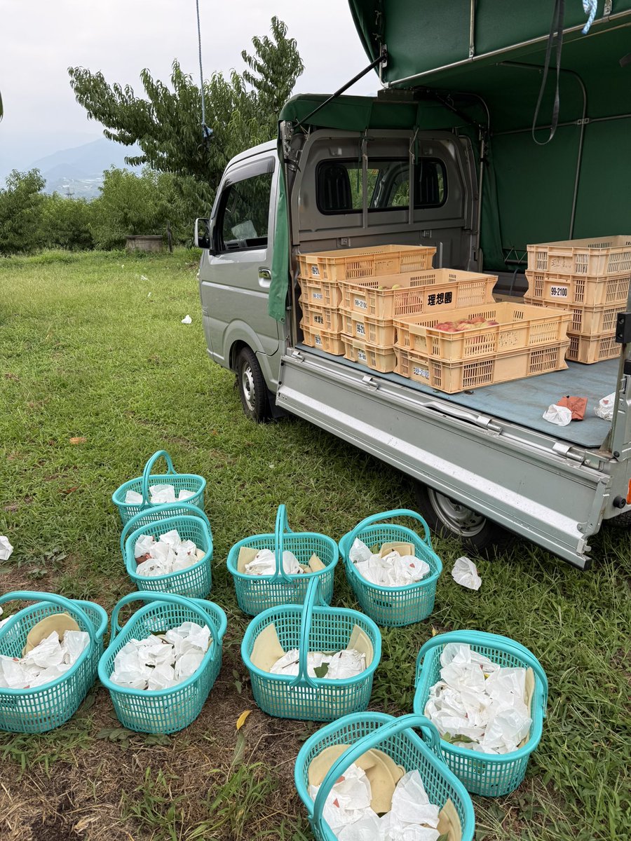kusashio's tweet image. 収穫完了しました＼(^^)／