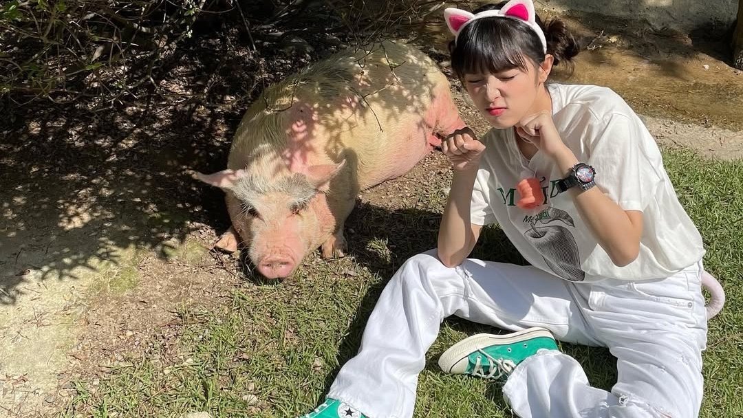 𝑠mile𝚢, 𝑆un𝐢 ˙ᵕ˙ tweet media