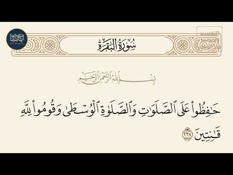 "الصلاة الوسطى" = الصلاة القلبية، اللحظة التي تقف فيها في "مركزك الحقيقي"، حيث لا تميل لليمين (الماضي) ولا لليسار (المستقبل)، بل تكون حاضرًا مع الله في الآن.

هي رمز للحظة الحضور الكامل، التي لو حافظت عليها، صارت حياتك كلها صلاة.