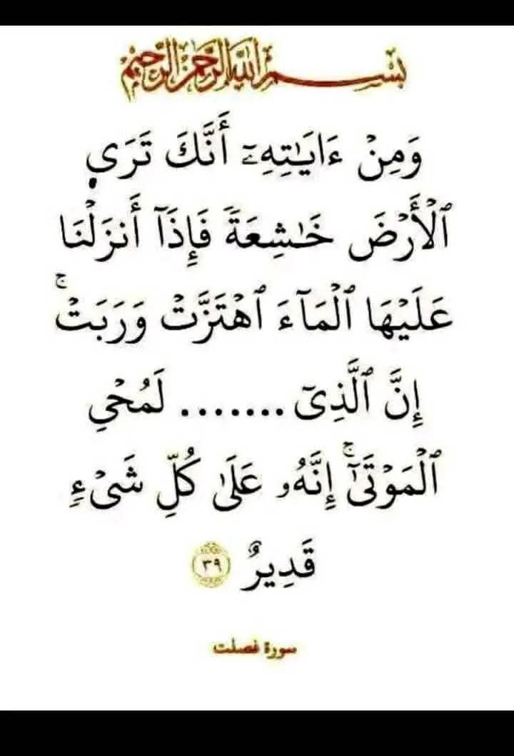 اختبر حفظك ❓ 🤔
