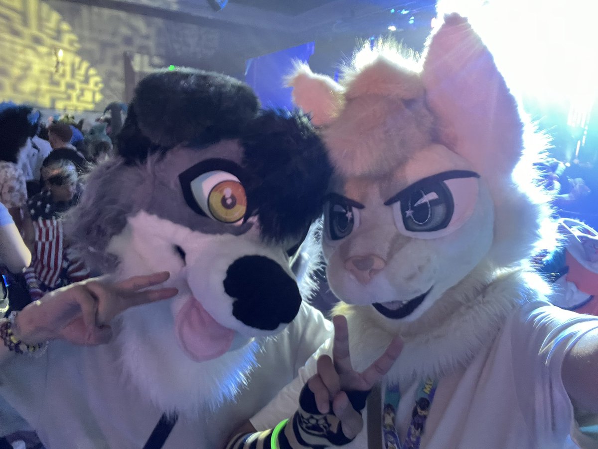 meowed loud af at <a href="/drypup/">dry 🥎</a>