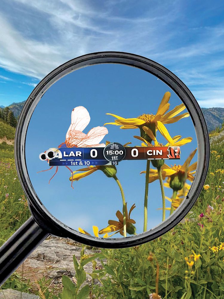 ScoreBugz's tweet image. peak bug collecting season is almost upon us🔎

#scorebug #nfl