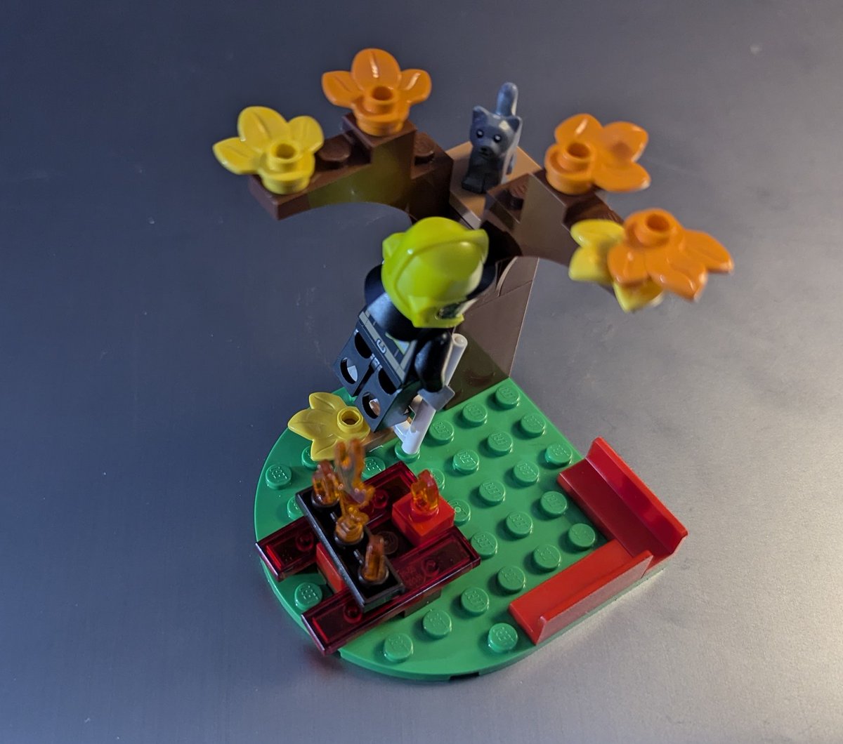 Jeannine Shields tweet media