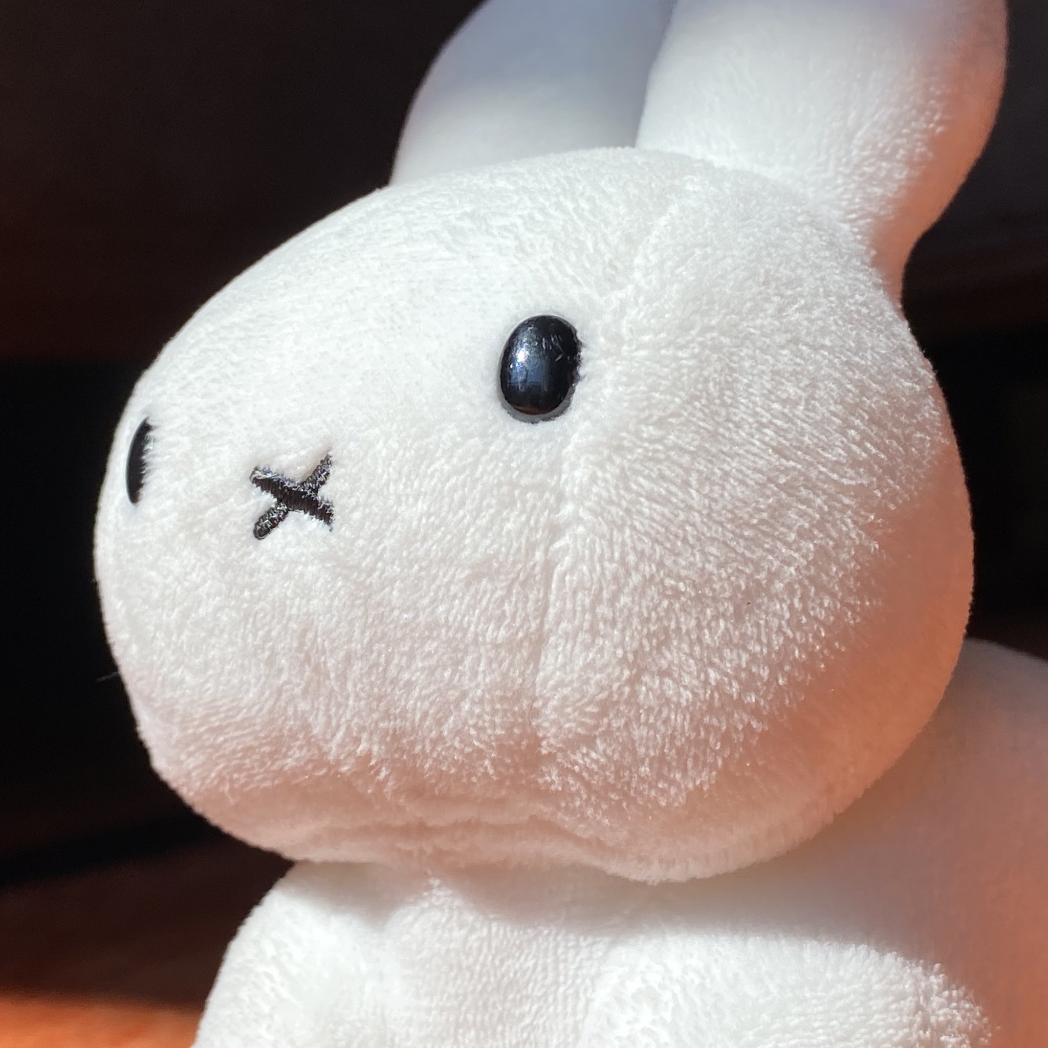 野生のうさぎ on X: 
