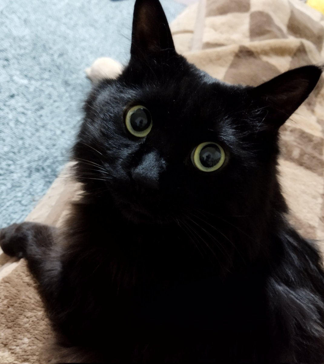 おいさん