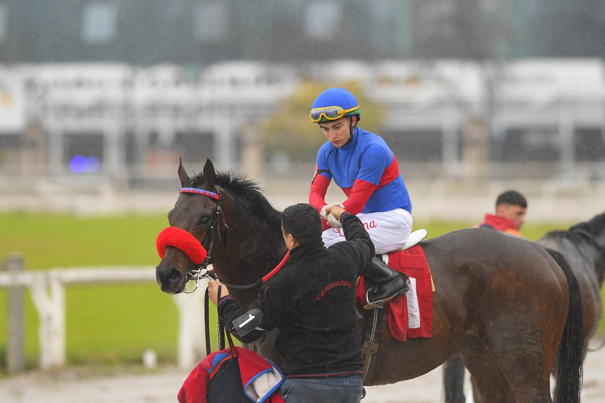Heritage Stud (@heritagestud) on Twitter photo ๐ช๐ฝ ๐น๐ถ๐ต๐ซ๐จ ๐ซ๐ฌ ๐จ๐บ๐ฌ๐บ (๐ญ๐๐๐๐) ๐๐๐๐๐๐ฬ ๐๐ฬ๐๐๐๐๐ ๐๐ ๐๐ ๐ช๐๐ฬ๐๐๐๐ ๐ต๐๐ ๐ซ๐๐๐
๐!
๐ ๐จ๐๐๐๐๐๐๐๐๐ ๐๐๐๐๐๐๐๐ por 4 cuerpos al imponerse ๐๐ ๐ฉ๐ฎ๐ง๐ญ๐ ๐ ๐ฉ๐ฎ๐ง๐ญ๐ en Palermo ๐ฌ๐จ๐๐ซ๐ ๐ฅ๐ ๐ฆ๐ข๐ฅ๐ฅ๐. ๐ช๐ฝ ๐น๐ถ๐ต๐ซ๐จ ๐ซ๐ฌ ๐จ๐บ๐ฌ๐บ (๐ญ๐๐๐๐) ๐๐๐๐๐๐ฬ ๐๐ฬ๐๐๐๐๐ ๐๐ ๐๐ ๐ช๐๐ฬ๐๐๐๐ ๐ต๐๐ ๐ซ๐๐๐
๐!
๐ ๐จ๐๐๐๐๐๐๐๐๐ ๐๐๐๐๐๐๐๐ por 4 cuerpos al imponerse ๐๐ ๐ฉ๐ฎ๐ง๐ญ๐ ๐ ๐ฉ๐ฎ๐ง๐ญ๐ en Palermo ๐ฌ๐จ๐๐ซ๐ ๐ฅ๐ ๐ฆ๐ข๐ฅ๐ฅ๐.