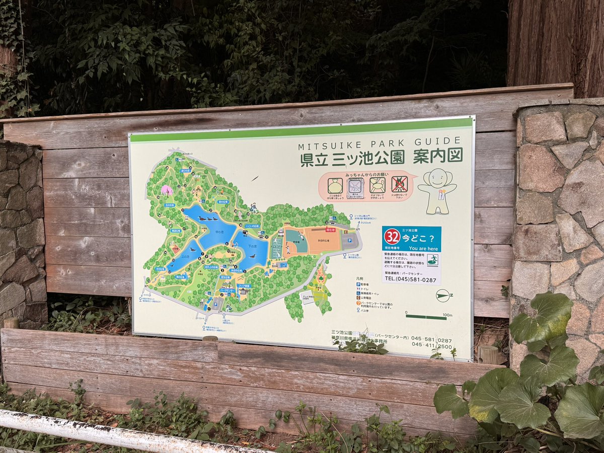 下の池だよ果南ちゃん
#小さなラブライブ