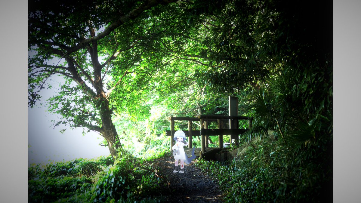 周りの人がみんないなくなる夢見た。おはよ。