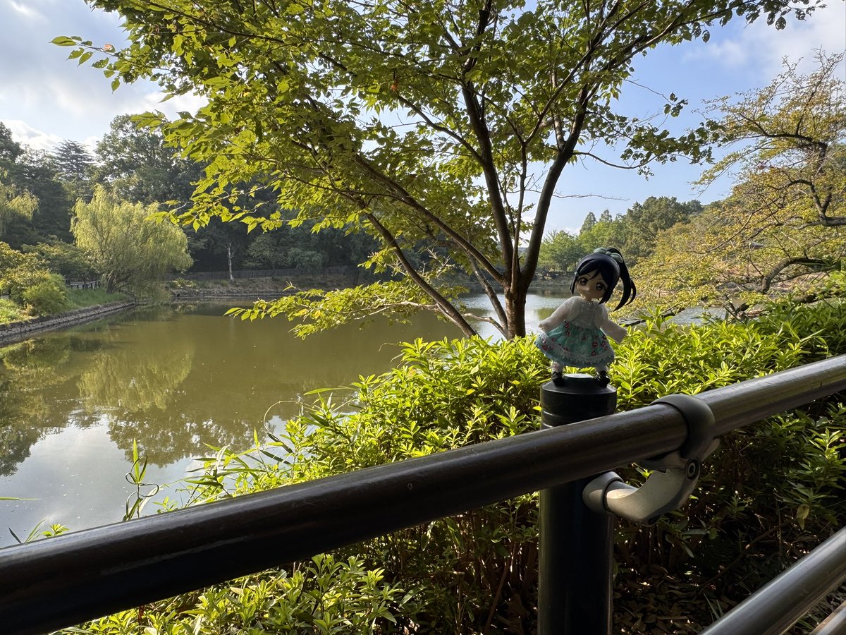 中の池ずら〜
#小さなラブライブ