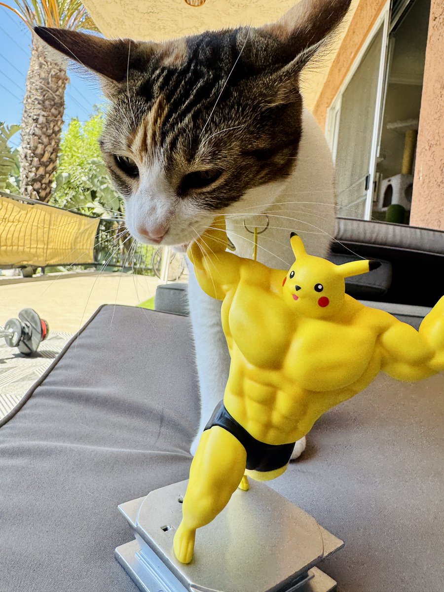 Went to this collectibles place 😅