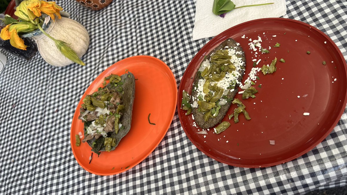 Como un taco de bistec y un tlacoyo de frijol.

Me aplicaron la quesadilla sin queso :(