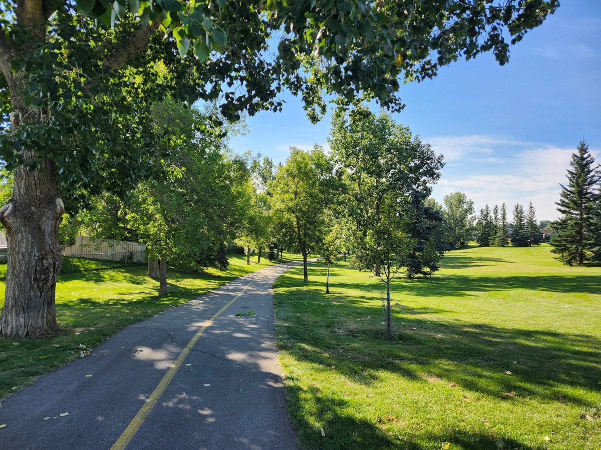 WalkingCalgary's tweet photo. Captured more moments from another adventure in #Shawnessy.
#Calgary #yyc https://t.co/bhXONEHGl8