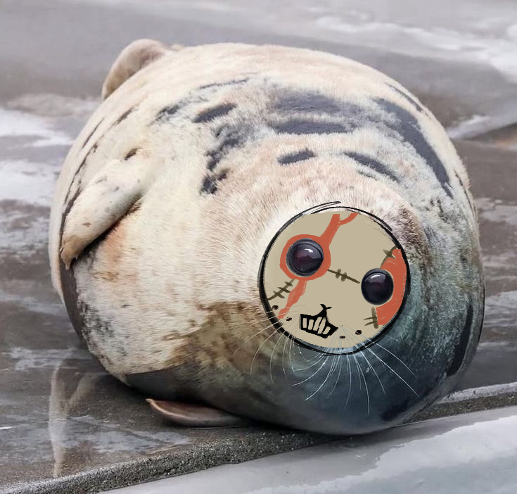 Sliva_Patisson's tweet image. sealsher