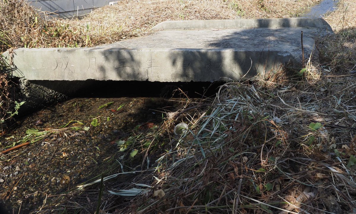 押立用水新田堀にかかる、古いコンクリートの橋。「大典記念　押立南部青年會」「昭和四年三月成」の文字が読み取れる。昭和天皇の御大典にあやかって作られた年代物だ。
だが、渡った先の道はもう無くなってしまった。昭和ひと桁生まれのトマソン。 〔稲城市〕
 #トマソン #超芸術トマソン