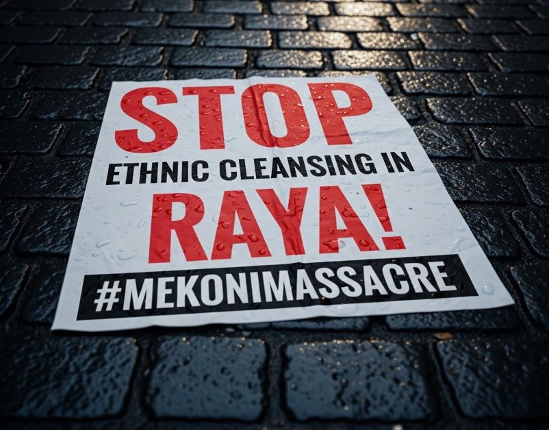 Meseret23's tweet photo. 🚨The people of #Raya have been made  a pdaceful protest for months . All the people are demanding peace, development and good self governance for years. But,the TPLF armed group currently torturing,detaining ,torrorizing and killing inncent civilians in #Raya every day.@hrw @UN https://t.co/9KmCJUx8TW