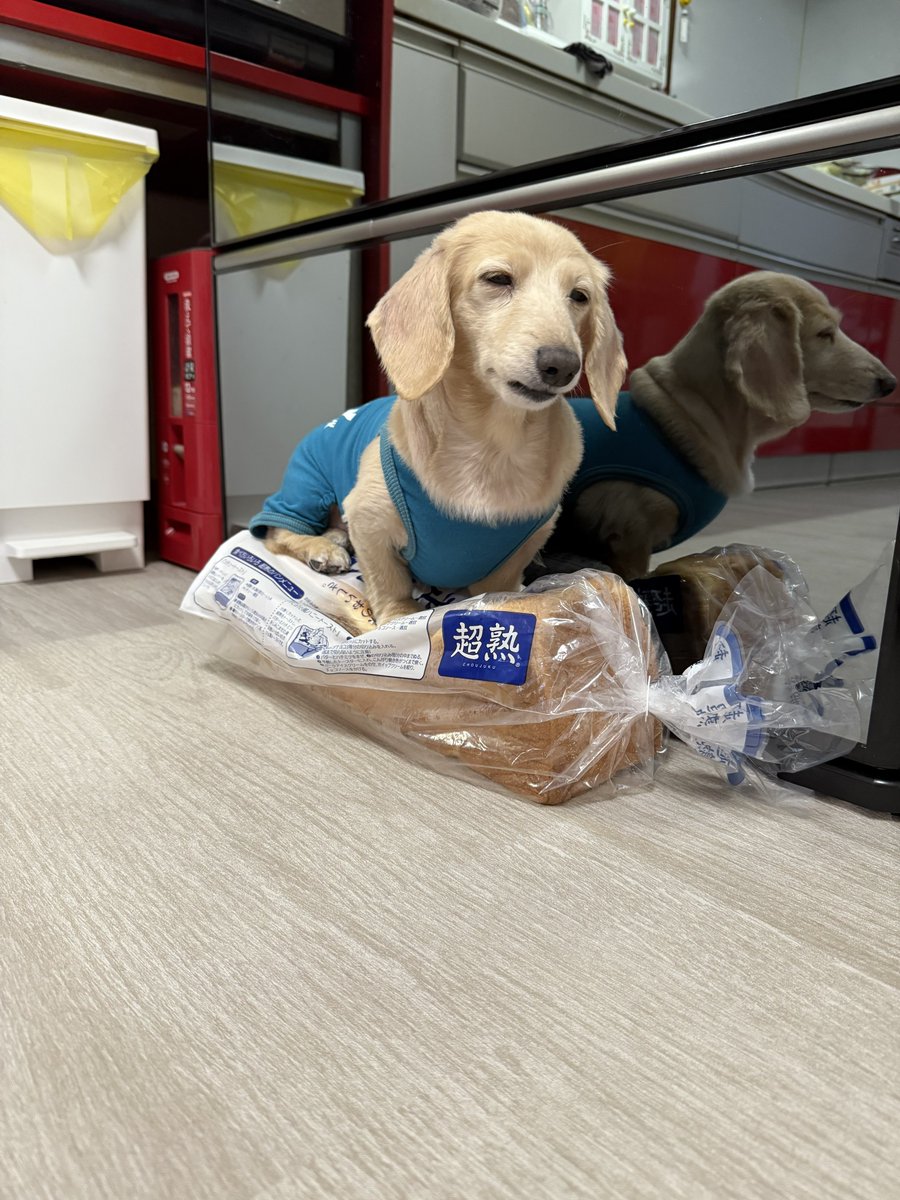 超熟で寝るんじゃないよ〜