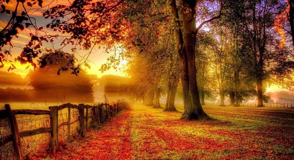 Hoşgeldin Eylül ayı 🫶💫🍁🍂