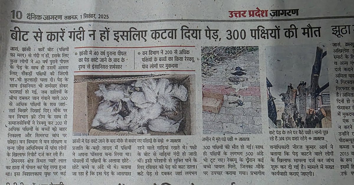 इंसान की नीचता का एक और कारनामा. शोक मनाएं दिन ब दिन मरती इंसानियत का और इन पक्षियों की मौतों पर.
#Jhansi