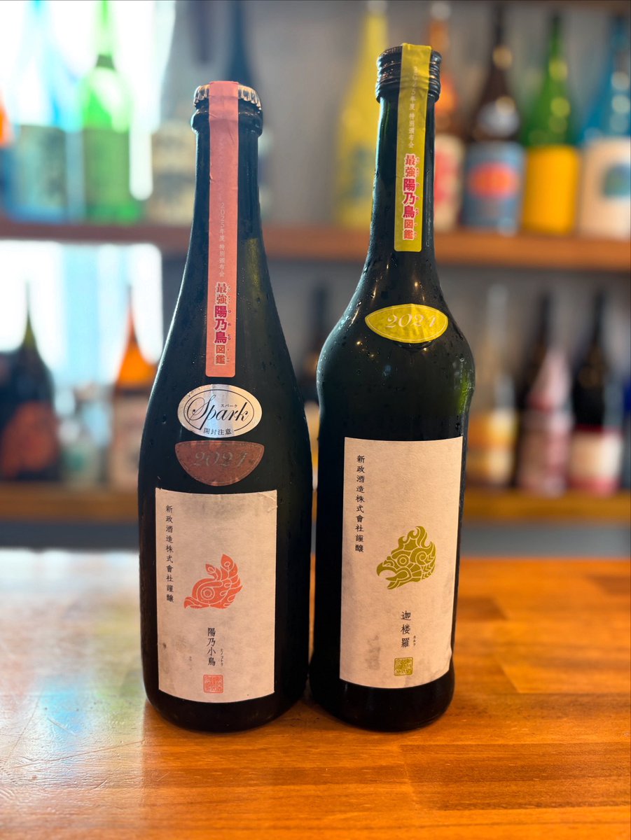 新政 迦楼羅 新政 迦楼羅 公式通販