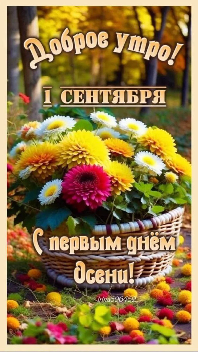 ludmilaima's tweet image. С первым днём осени!