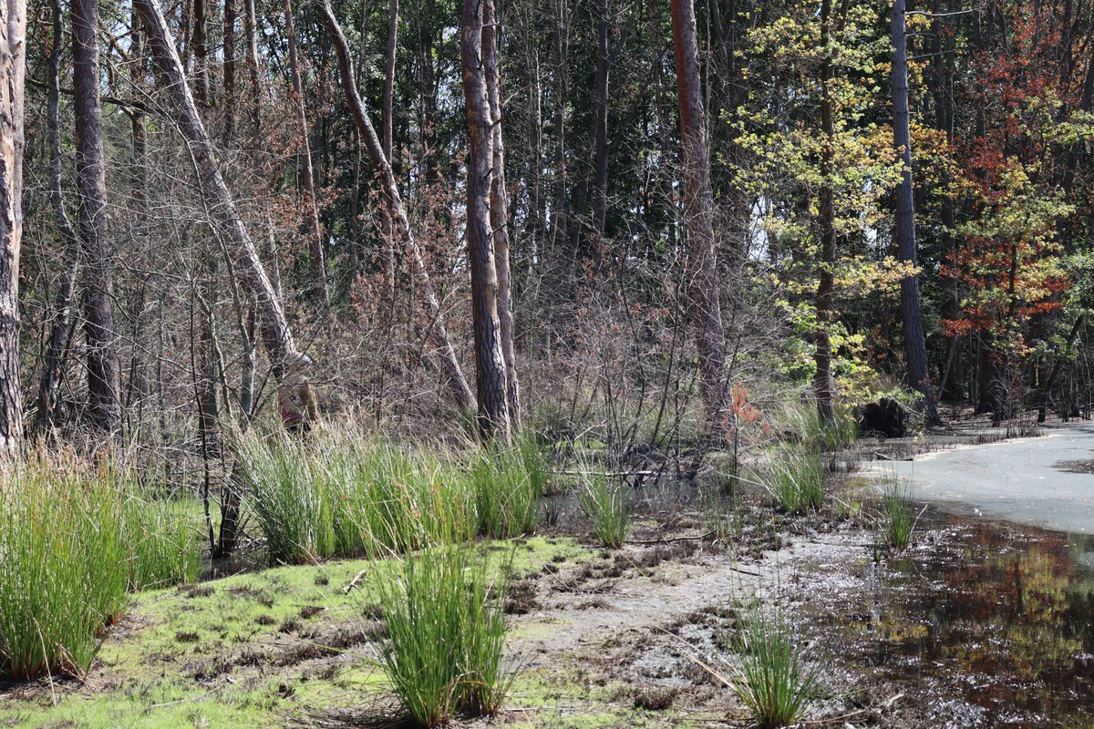 Probably just the wind...