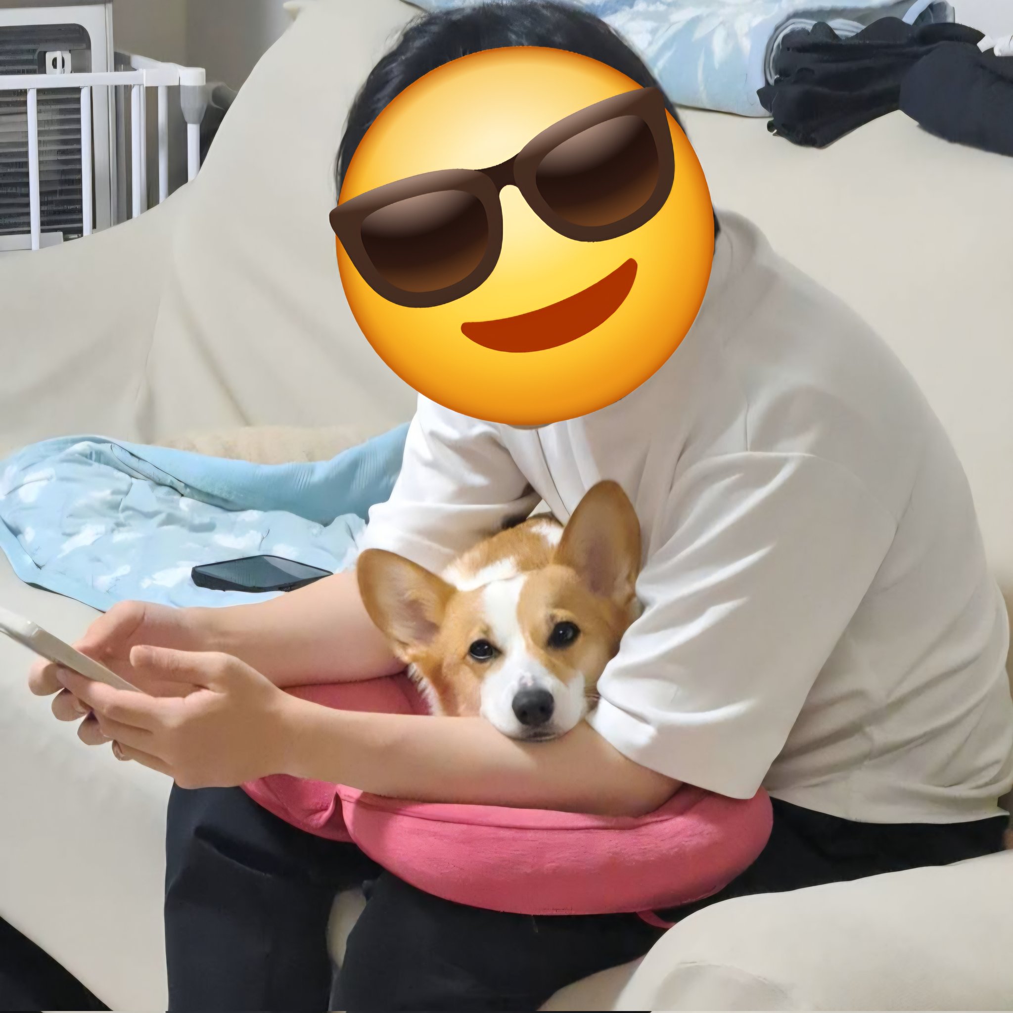 お買い物コーギー❣️ 乃雪@コーギー (@Takemywholesoul) / X