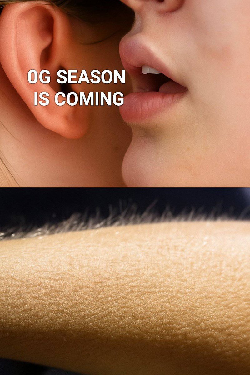 0xlyra_web3's tweet photo. OG Season is coming… and the vibes are real. 
0G Labs is about to change the game.
Are you ready for what’s next? 👀🔥

#0GLabs #OGSeason #OnchainFuture”** https://t.co/MrenLqXqBP