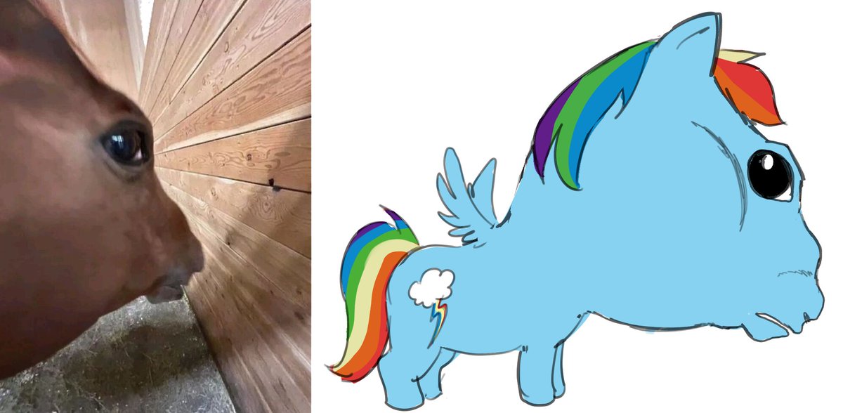 LuLuYamOfficial's tweet photo. I drawed a horsie https://t.co/BzzJcndCHk